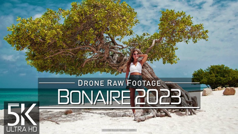 【5k】🇧🇶 Drone Raw Footage 🔥 This Is Bonaire & Saba 2023 🔥 Netherlands Antilles 🔥 Ultrahd Stock Video