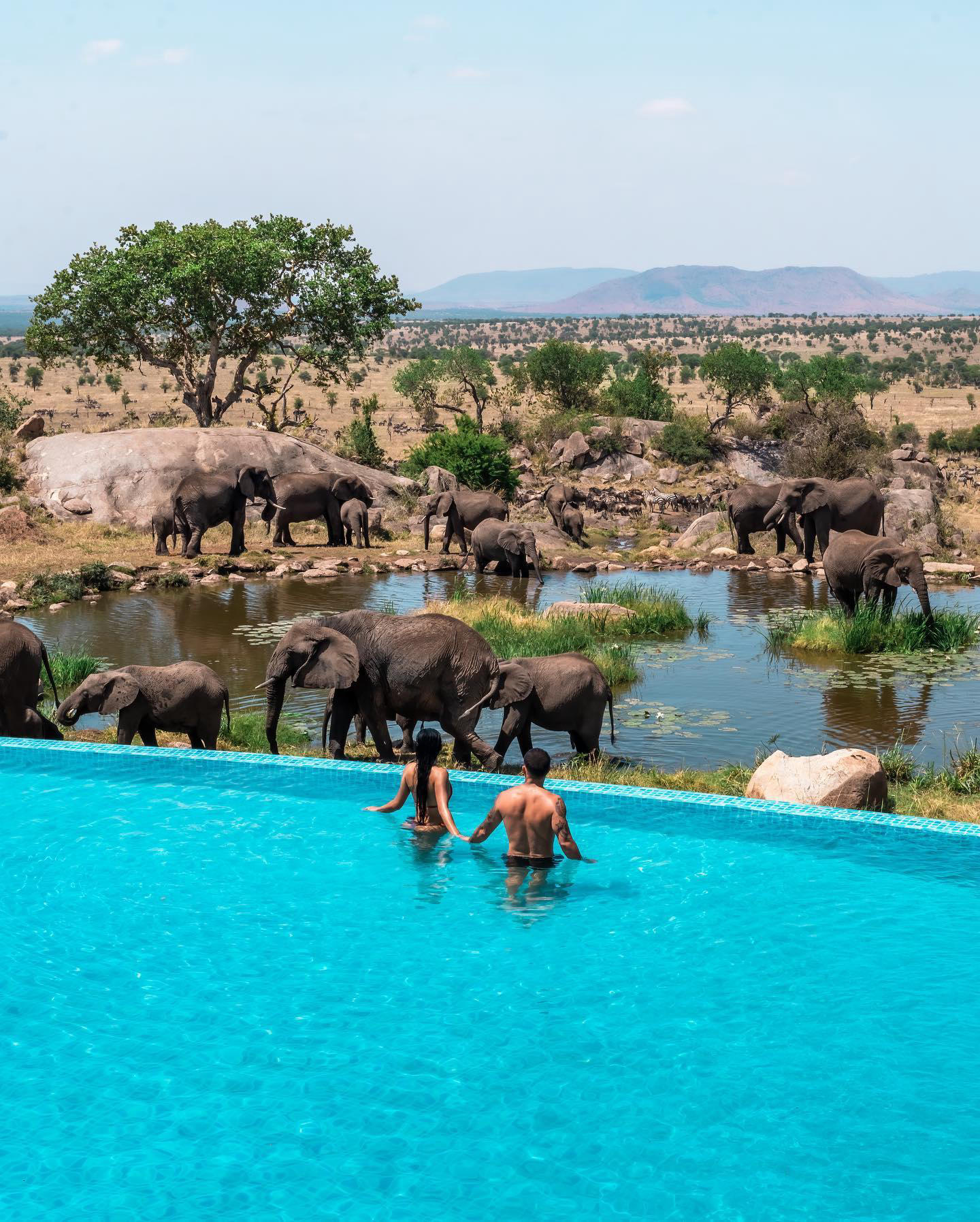 Taking bucket-list to a new level on safari in the Serengeti