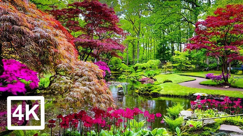 The Most Wonderful Gardens In The World : 4k